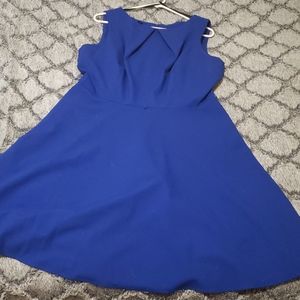 Navy plus dress